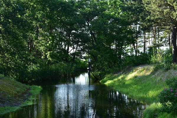 Pourquoi le maintien à domicile est important pour les seniors